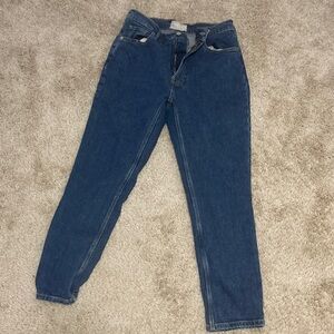 Everlane Original Cotton Cheeky Jeans